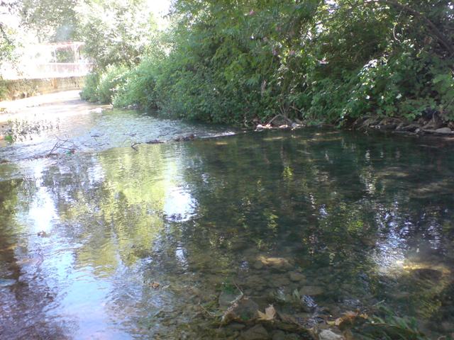 نهر الحاصباني