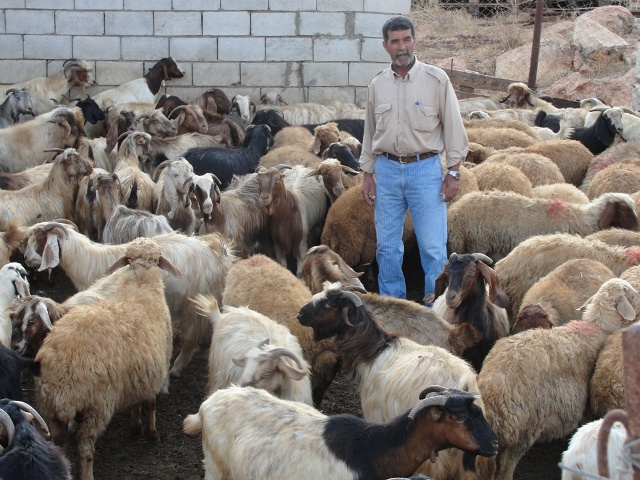 أبو حسين في المزرعة