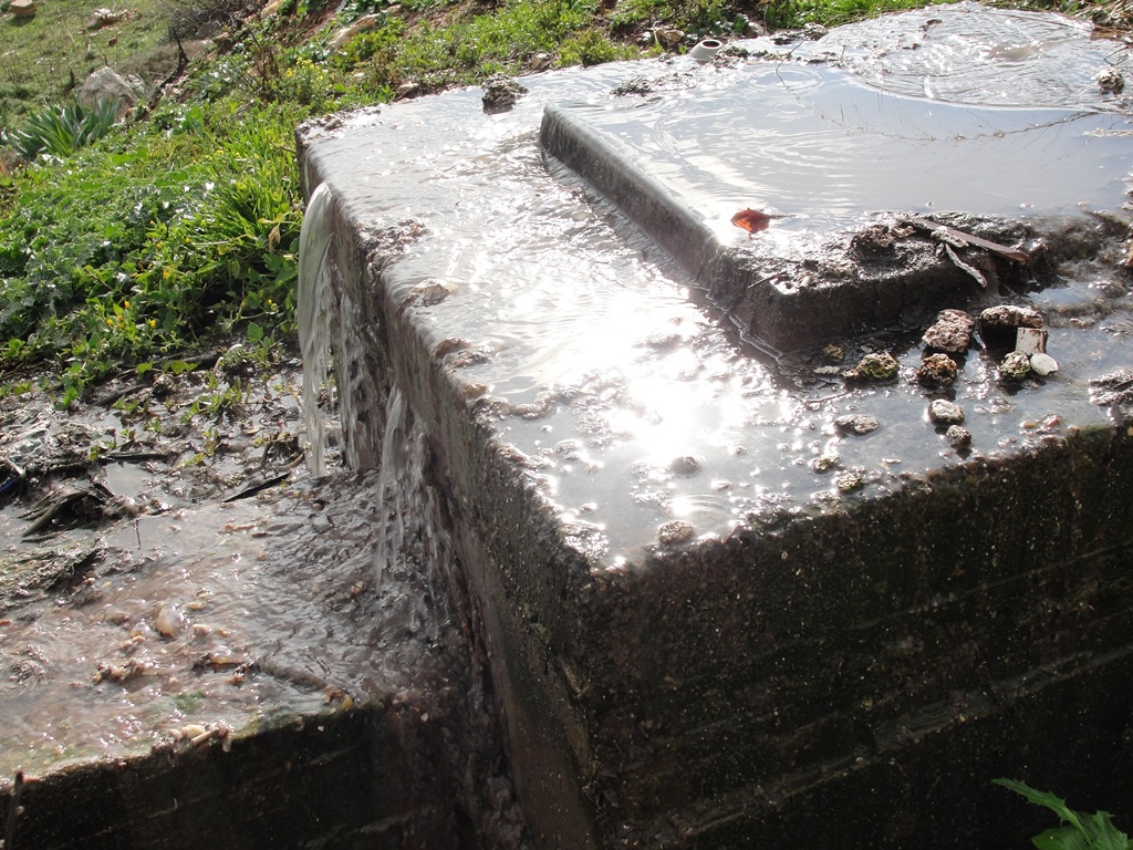 المياه الملوثة والآسنة للصرف الصحي تخرج من الريكار قبل أمتار قليلة من المعمل
