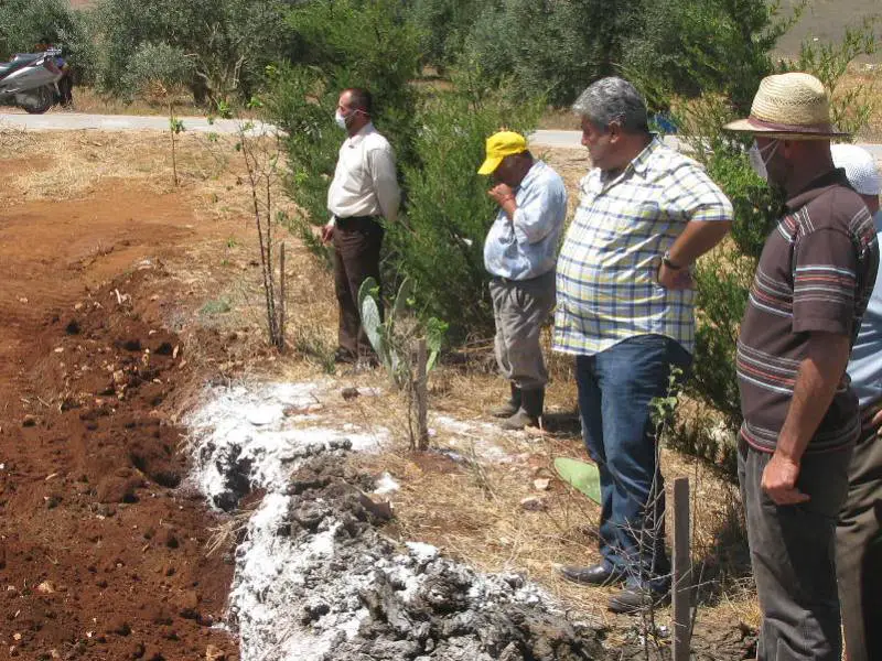 المهندس محمد عبدالله، نائب رئيس بلدية الخيام يتابع  عملية إزالة البقر الميت وطمره