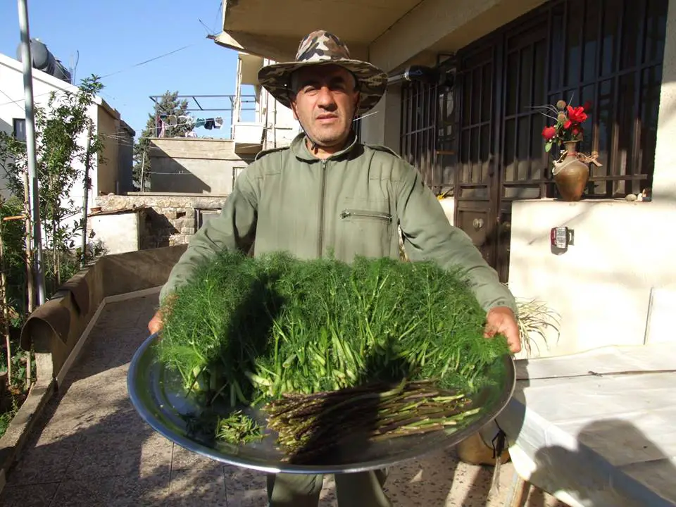 طوني أبوجمرة: الأعشاب والنباتات البريّة الطبيّة التي تزخر بها منطقتنا