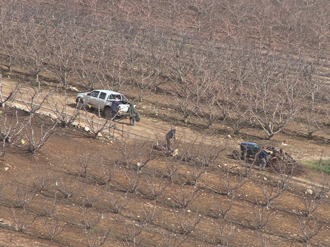 عمال الزراعة في بساتين مستعمرة المطلة يغادرون بعد بدء القصف الاسرائيلي