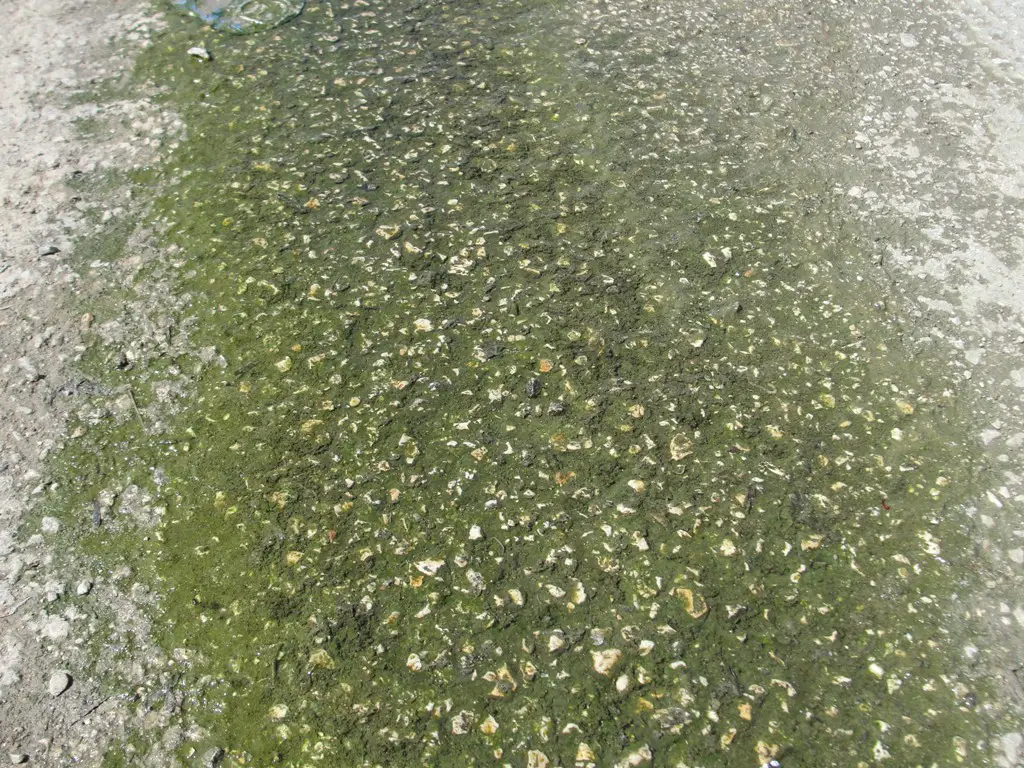 مكان آخر تنبع منها مياه الصرف الصحّي