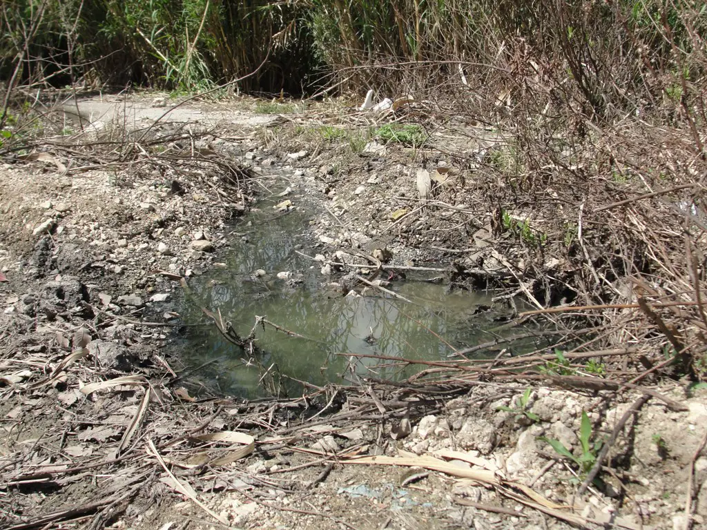 متى نتوقف عن رؤية تلك المشاهد المقززة داخل البلدة؟