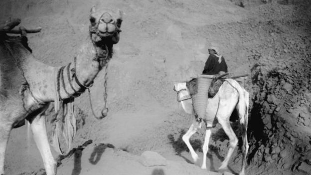 لقطة من صحراء منطقة إدفو في صعيد مصر، في الفترة ما بين 1931 و 1935 - تصوير موريس أليو