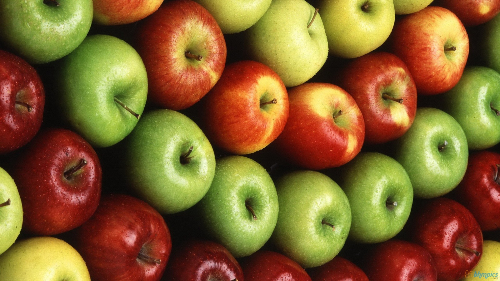 أنواع مختلفة من التفاح.. كلها مفيدة 