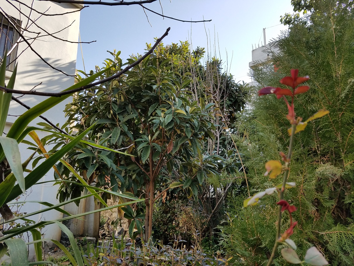 حديقة الساحة التحتا