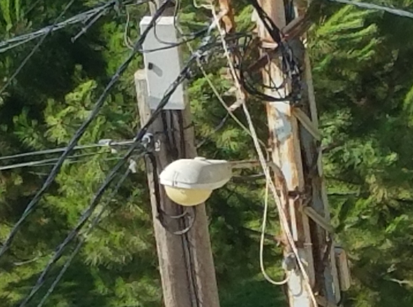 أعمدة الإنارة في شوارع الحي كانت تنوء من بلدية الخيام