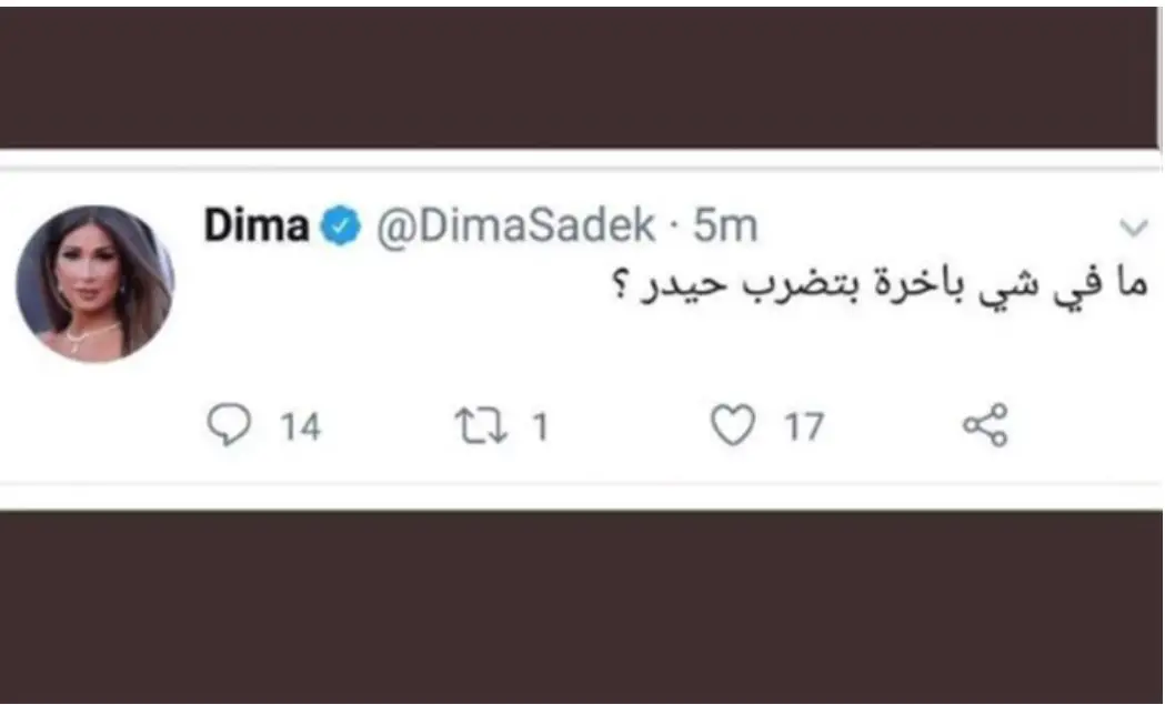 تغريدة الإعلامية ديما صادق