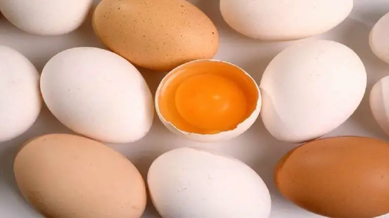 البيض مفيد جدا للجسم