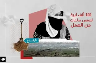 اليد العاملة النسائيّة السوريّة.. عمود القطاع الزراعيّ بقاعًا خارج أحكام القانون