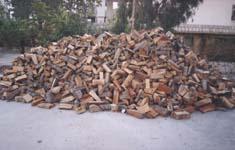 اشجار مقطعة جاهزة للبيع