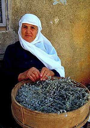 مونة أيام زمان