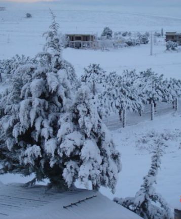  لبست ثوبها الأبيض لتزف عريسها أحمد