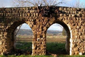 غريبة هذة البلدة..  نحبها ونصبح دم شرايينها