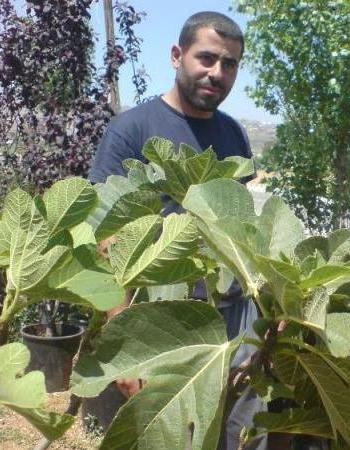 كلما رأى أحمد نبتة أو شجرة ينظر إليها بتأمل