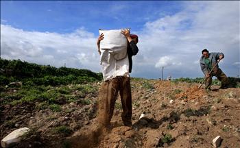 مزارعان يحضران الأرض لزراعتها