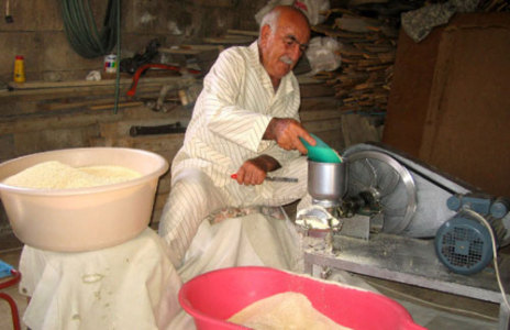 راشد برو الذي يصنّع نحو طن ونصف موسمياً (رامح حمية)