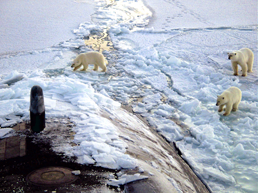 القطب الشمالي.