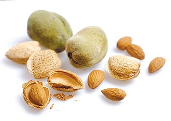 من دلالات اللوز في المنام: الحلو منه حلاوة الإيمان والمال الحلال