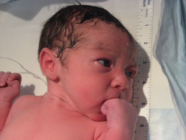 جود محمد سليمان