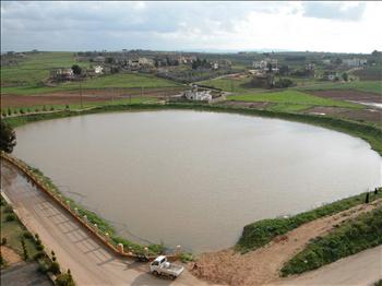 بركة كفرتبنيت في النبطية (عدنان طباجة)
