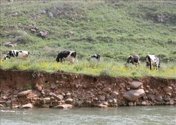 الأطراف الشرقية لبلدة كفرشوبا