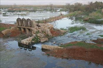 مستنقع عميق من المواقع المقصودة للسياحة العلمية