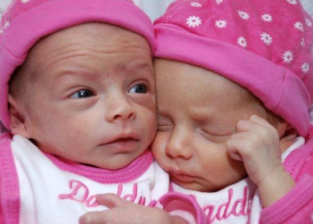 المولودتان الجديدتان مايا ويارا حمّود