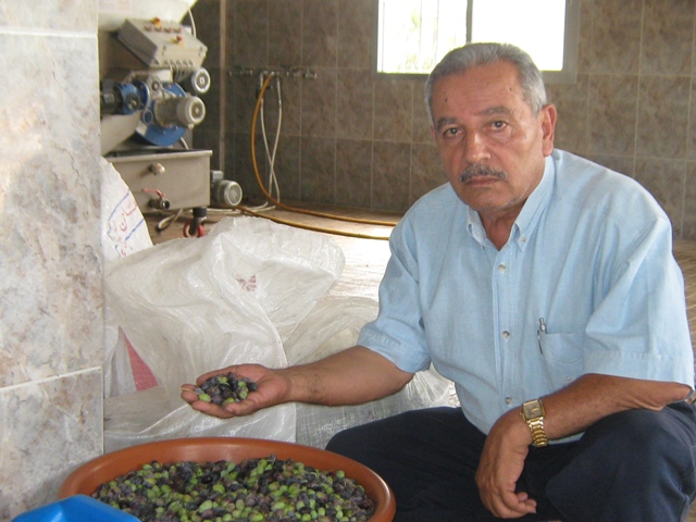 حسن سلامة-رئيس نقابة مزارعى الزيتون