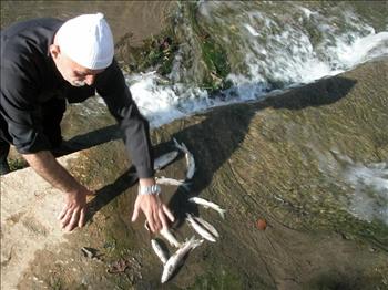 مختار حاصبيا يجمع اسماكاً نافقةتطفو على سطح مياه الحاصباني