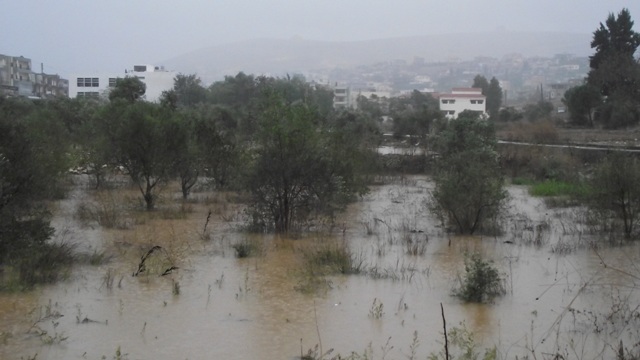 برك مياه كبيرة سببتها العاصفة في الحقول - سامر وهبي