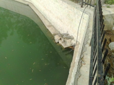 مياه الدردارة الخضراء