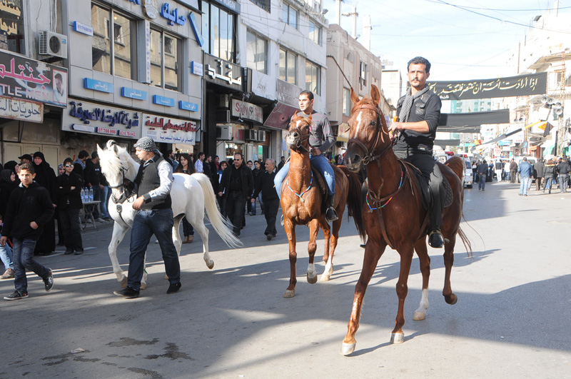 الخيول في مسيرة النبطية التاسع من عاشوراء