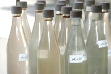 قوارير من ماء الزهر