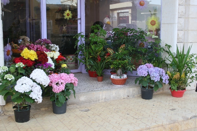 الورد يشكل بحدّ ذاته طبيعة صافية نابضة بألوان الحياة