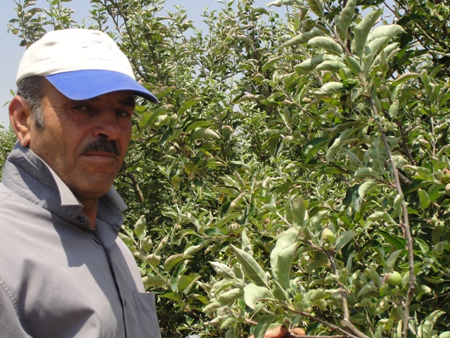 أبو حسين علي حمّود