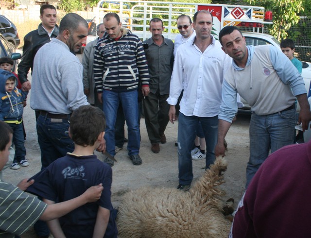 نحرت الخراف لعودته سالماً