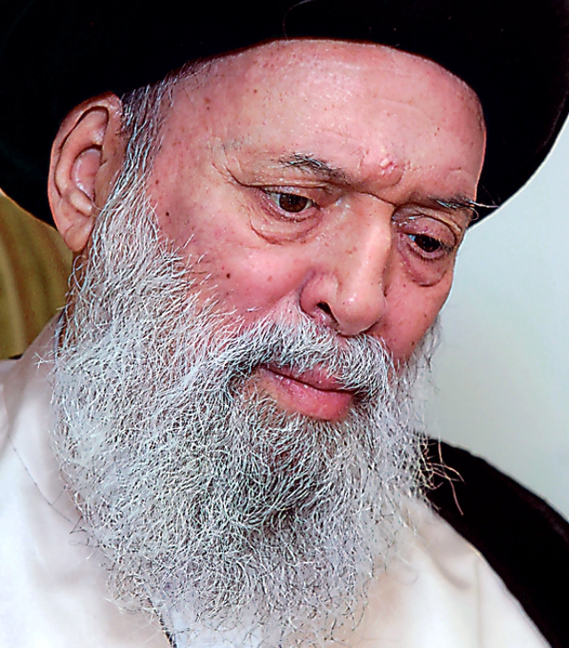 العــــــــلامـــة المــرجع السـيـد محـمـد حســـــين فضل الله