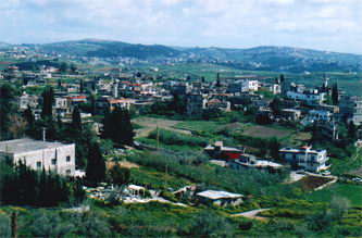 الدوير: تبعد عن مدينة النبطية 7 كلم وترتفع عن سطح البحر 350م.