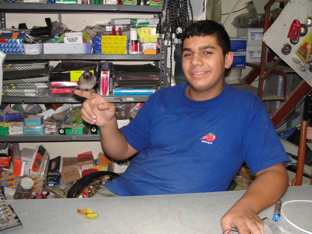 كان هادي مسروراً بهذا البلبل