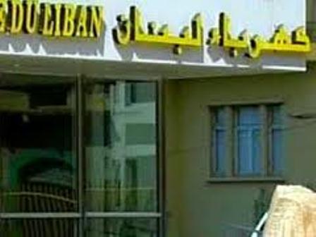 اعتصام لعمال المتعهد في كهرباء حاصبيا