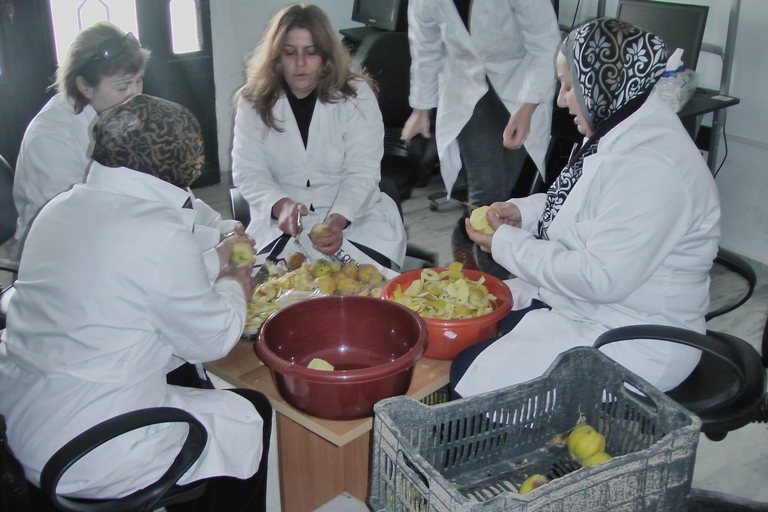 أنشطة أخرى لجمعية سيدات الخيام للتنمية