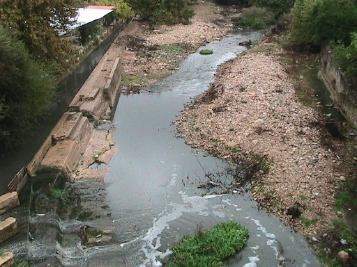  التلوث يجتاح الحاصباني