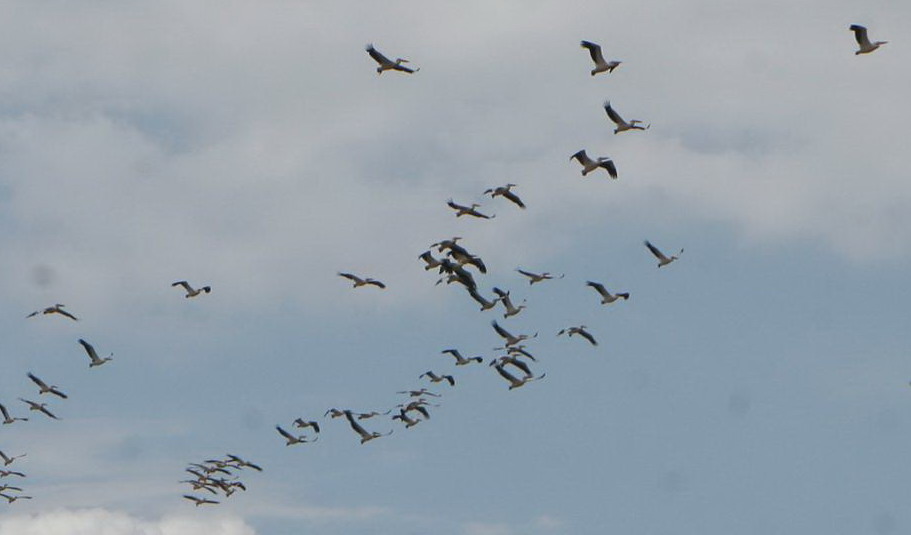 ماذا تقول السماء؟