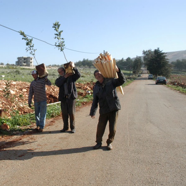 بلدية النبطية الفوقا تلبي نداء الأمين العام لـحزب الله وتباشر بحملة التشجير