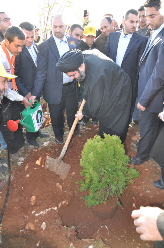 السيد صفي الدين يزرع شجرة