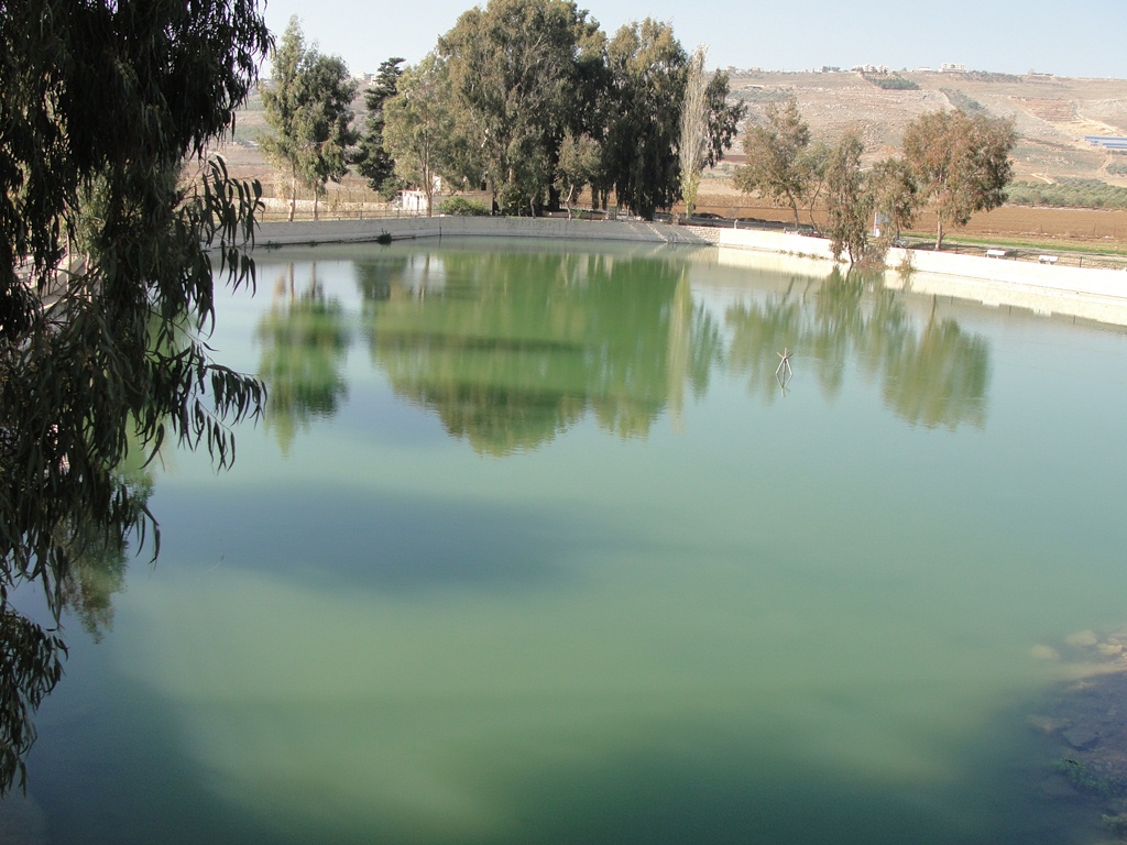بركة الدردارة - أرشيف
