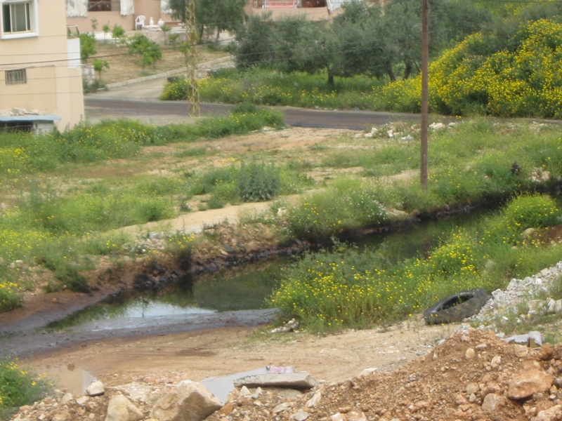 بقايا النفط المتسرّب في حبوش