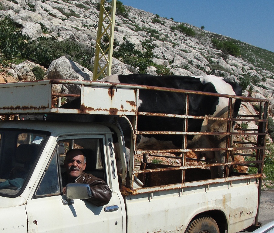 أبو علي فايز عكر